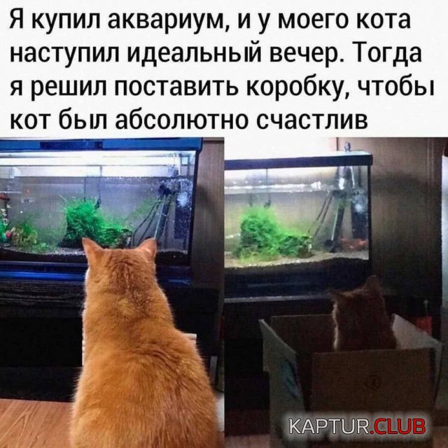 237463_15_trinixy_ru.jpg | Рено Каптур Клуб Россия | Форум KAPTUR.SU