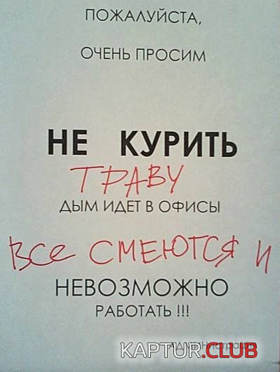 237584_12_trinixy_ru.jpg | Рено Каптур Клуб Россия | Форум KAPTUR.SU