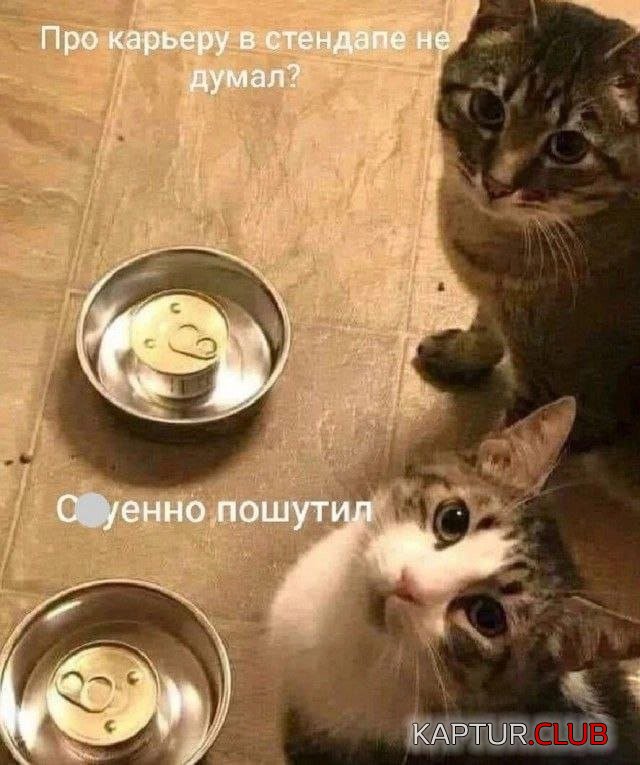 237658_15_trinixy_ru.jpg | Рено Каптур Клуб Россия | Форум KAPTUR.SU