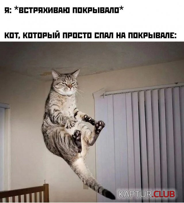 238224_3_trinixy_ru.jpg | Рено Каптур Клуб Россия | Форум KAPTUR.SU