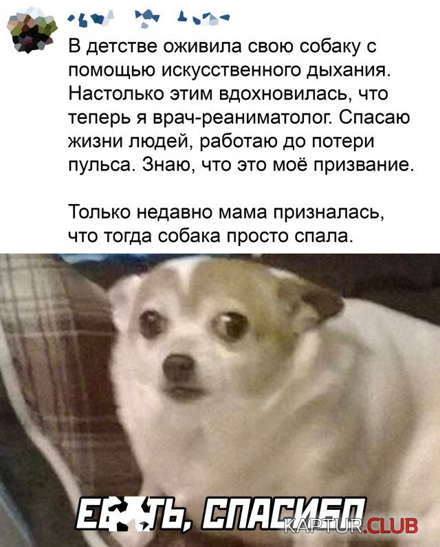238361_18_trinixy_ru.jpg | Рено Каптур Клуб Россия | Форум KAPTUR.SU