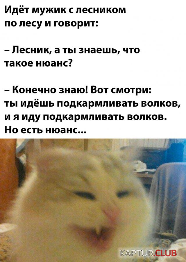 238361_1_trinixy_ru.jpg | Рено Каптур Клуб Россия | Форум KAPTUR.SU