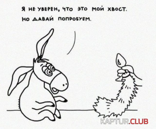 238371_5_trinixy_ru.jpg | Рено Каптур Клуб Россия | Форум KAPTUR.SU