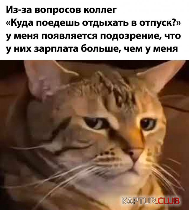 238732_1_trinixy_ru.jpg | Рено Каптур Клуб Россия | Форум KAPTUR.SU