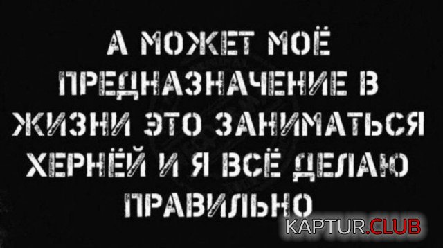 238738_10_trinixy_ru.jpg | Рено Каптур Клуб Россия | Форум KAPTUR.SU