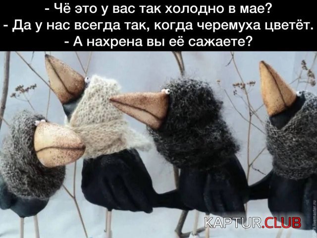 238927_8_trinixy_ru.jpg | Рено Каптур Клуб Россия | Форум KAPTUR.SU