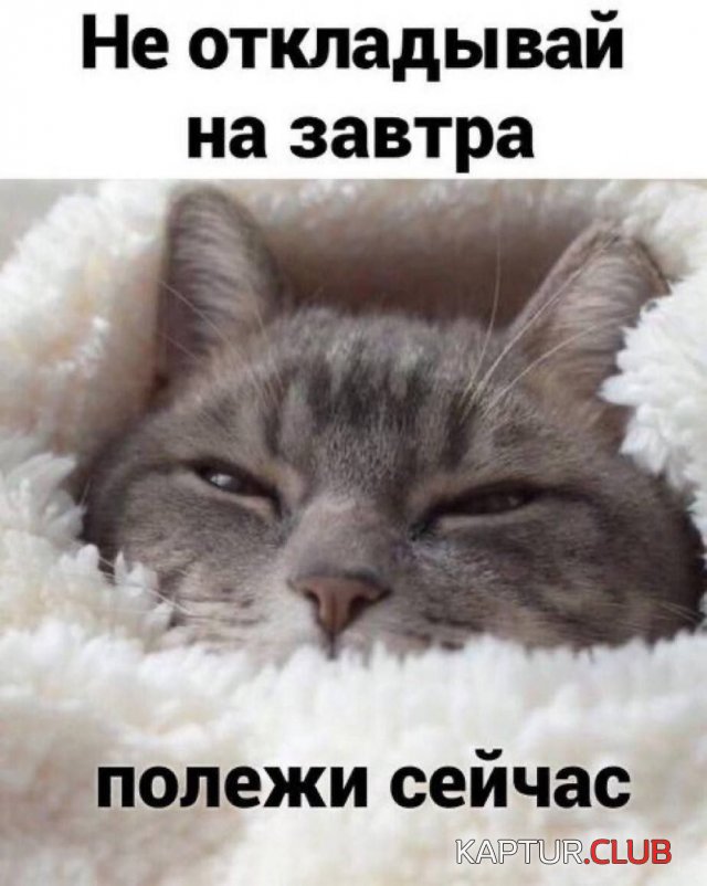 238972_12_trinixy_ru.jpg | Рено Каптур Клуб Россия | Форум KAPTUR.SU