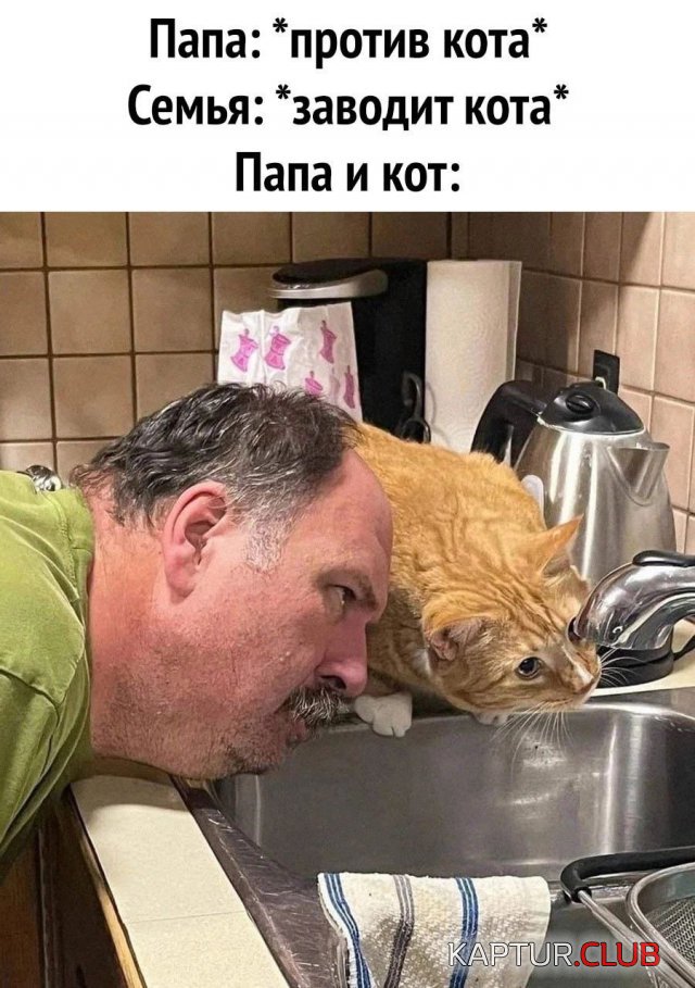 239336_4_trinixy_ru.jpg | Рено Каптур Клуб Россия | Форум KAPTUR.SU