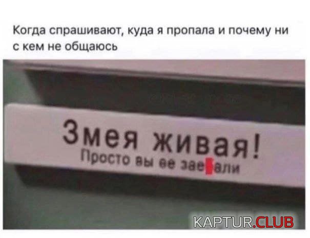 239979_6_trinixy_ru.jpg | Рено Каптур Клуб Россия | Форум KAPTUR.SU