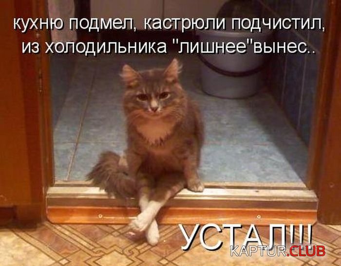 23af8696e96e0117cac96ca57bb.jpg | Рено Каптур Клуб Россия | Форум KAPTUR.SU