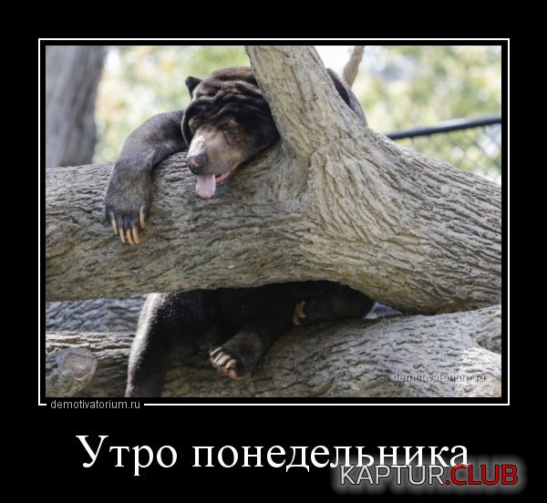 240717-1.jpg | Рено Каптур Клуб Россия | Форум KAPTUR.SU