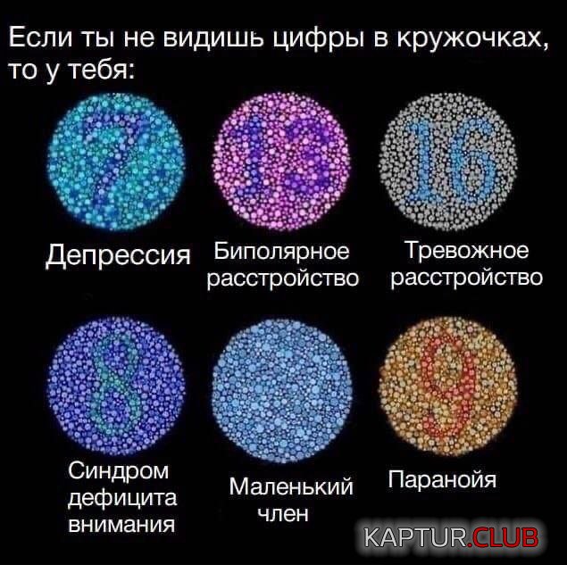 240922_6_trinixy_ru.jpg | Рено Каптур Клуб Россия | Форум KAPTUR.SU