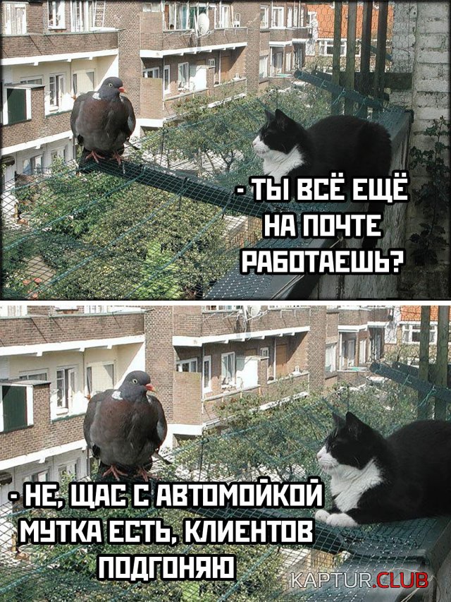 240989_30_trinixy_ru.jpg | Рено Каптур Клуб Россия | Форум KAPTUR.SU