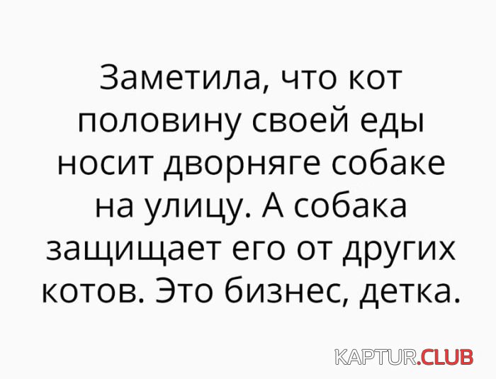 241259f674f8f1eb76df2f4a977.jpg | Рено Каптур Клуб Россия | Форум KAPTUR.SU