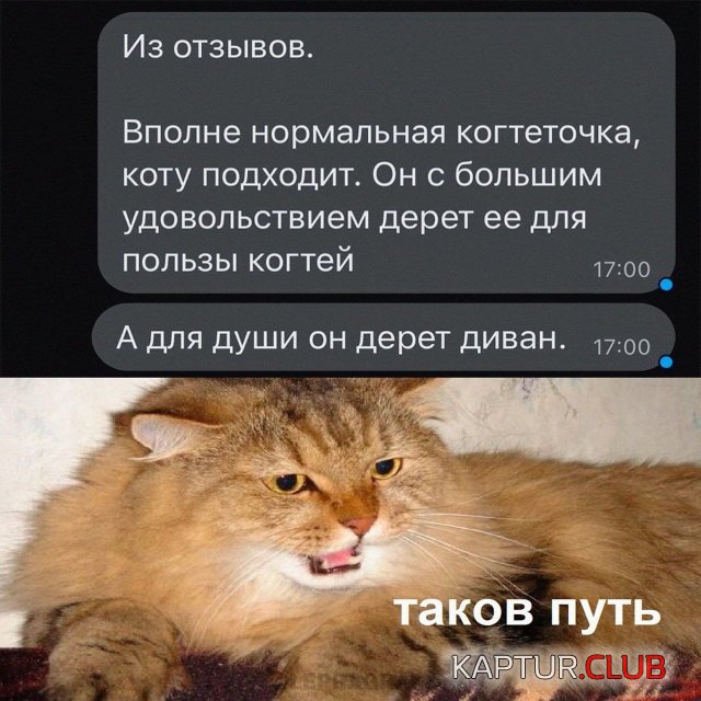 241903_17_trinixy_ru.jpg | Рено Каптур Клуб Россия | Форум KAPTUR.SU