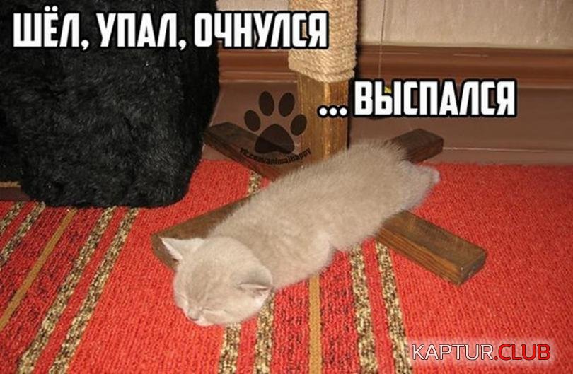 243cf9f4226a925a45753d40878_prev.jpg | Рено Каптур Клуб Россия | Форум KAPTUR.SU