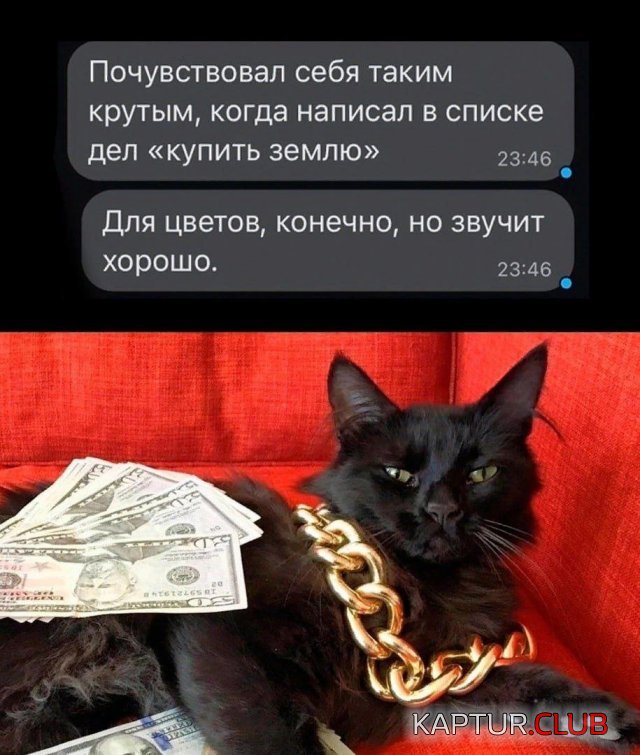 244935_16_trinixy_ru.jpg | Рено Каптур Клуб Россия | Форум KAPTUR.SU