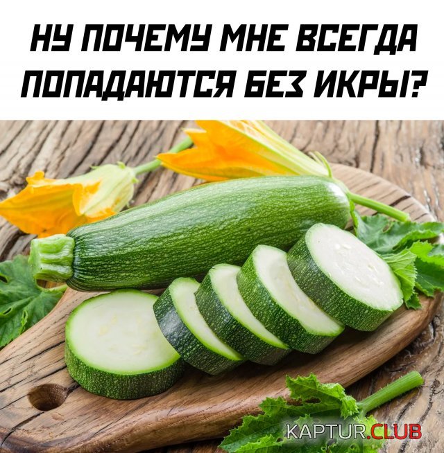 245576_1_trinixy_ru.jpg | Рено Каптур Клуб Россия | Форум KAPTUR.SU