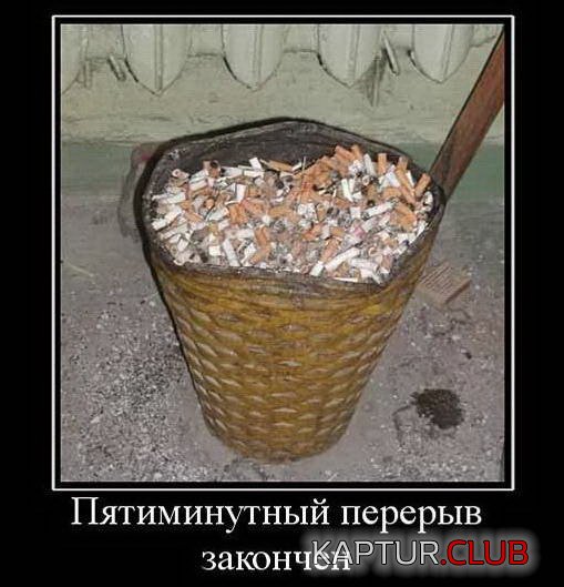 24644783d01c3d6e514cfc84e71.jpg | Рено Каптур Клуб Россия | Форум KAPTUR.SU