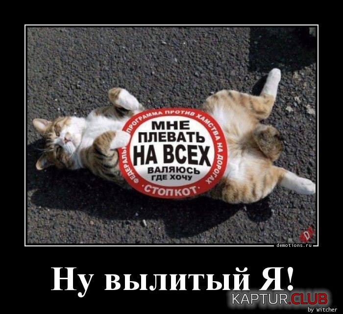 24931538291634-nu-vylityy-ya-demotions-ru.jpg | Рено Каптур Клуб Россия | Форум KAPTUR.SU