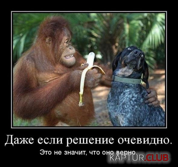 249f106c977135204baa889b650_prev.jpg | Рено Каптур Клуб Россия | Форум KAPTUR.SU