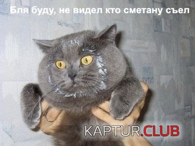 25.JPG | Рено Каптур Клуб Россия | Форум KAPTUR.SU