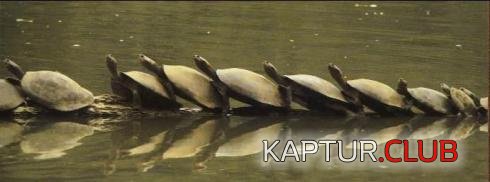 2522.JPG | Рено Каптур Клуб Россия | Форум KAPTUR.SU