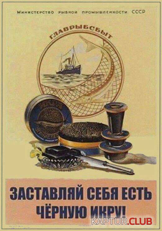 25498526_2159225300769610_785083031823291475_n.jpg | Рено Каптур Клуб Россия | Форум KAPTUR.SU
