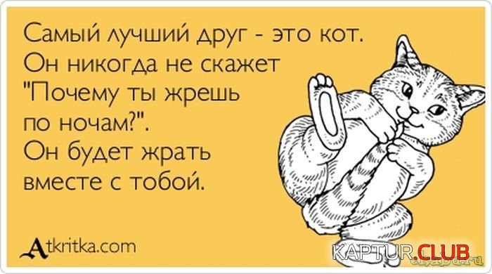 2561c4298dc1c4f36fd376d7475.jpg | Рено Каптур Клуб Россия | Форум KAPTUR.SU
