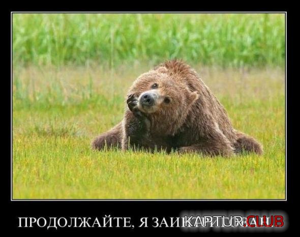 25ad6064000c5a2070b75f68811_prev.jpg | Рено Каптур Клуб Россия | Форум KAPTUR.SU