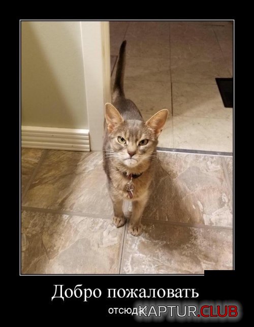 2620.jpg | Рено Каптур Клуб Россия | Форум KAPTUR.SU