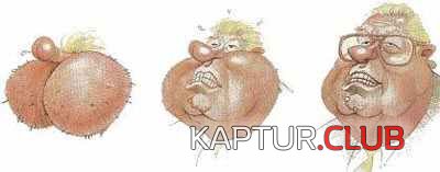 264.JPG | Рено Каптур Клуб Россия | Форум KAPTUR.SU