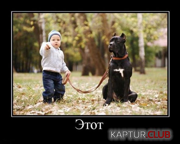 2657e8e2d280979fdf1701c0d78_prev.jpg | Рено Каптур Клуб Россия | Форум KAPTUR.SU
