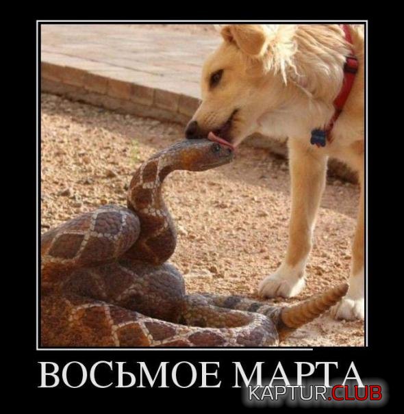 26b8c871bacaf70fcc72b8e0841_prev.jpg | Рено Каптур Клуб Россия | Форум KAPTUR.SU