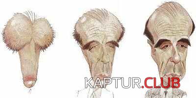 274.JPG | Рено Каптур Клуб Россия | Форум KAPTUR.SU