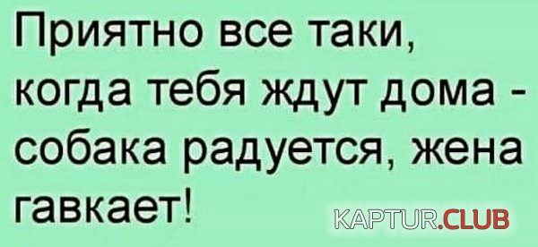 275f82f2d0a0bb6d6e0af20429e.jpg | Рено Каптур Клуб Россия | Форум KAPTUR.SU