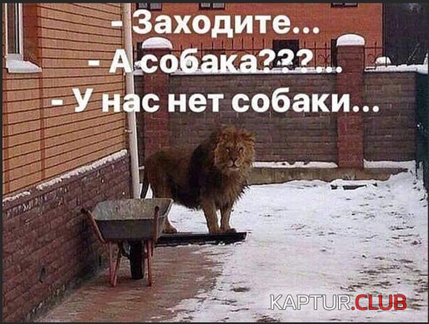27a603236e1380f2cd57808c2bf.jpg | Рено Каптур Клуб Россия | Форум KAPTUR.SU