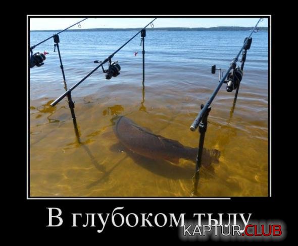 27c6cf45ab493295269b2c8eaf1_prev.jpg | Рено Каптур Клуб Россия | Форум KAPTUR.SU