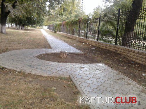 27f790d772dfb229f0d7ac595b3.jpg | Рено Каптур Клуб Россия | Форум KAPTUR.SU