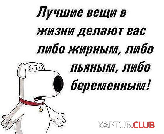 27f7f239057834546141e021c68.jpg | Рено Каптур Клуб Россия | Форум KAPTUR.SU