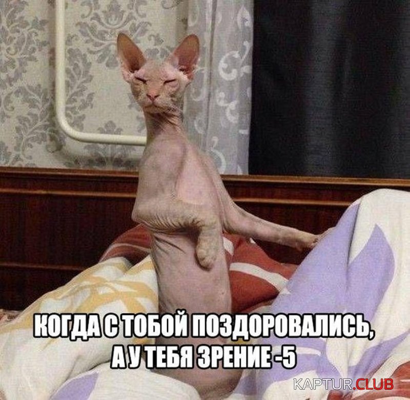 27feb9c15e0489162c30841e5bb.jpg | Рено Каптур Клуб Россия | Форум KAPTUR.SU