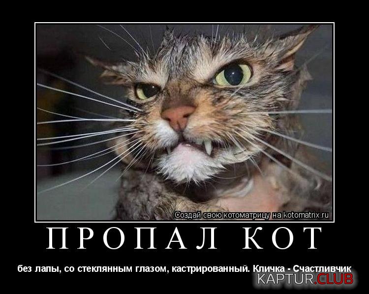 281d21ef6e66c39ec1d387a54c5.jpg | Рено Каптур Клуб Россия | Форум KAPTUR.SU