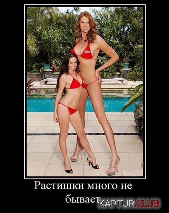 285dc8aada56e2dcf2545f62c9e.jpg | Рено Каптур Клуб Россия | Форум KAPTUR.SU