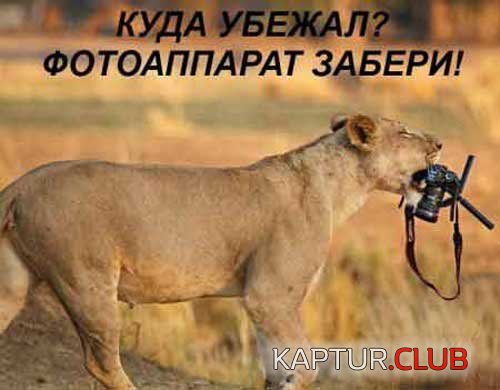 289109e4997719481c367a89c9b.jpg | Рено Каптур Клуб Россия | Форум KAPTUR.SU