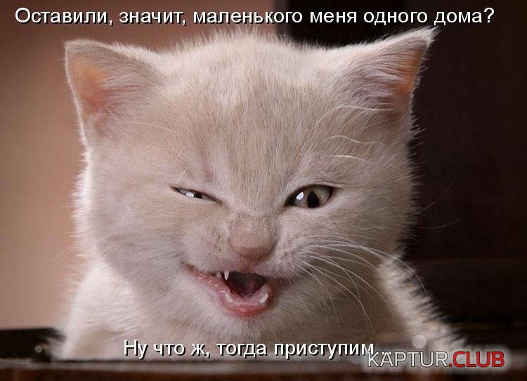 289c90156d99c8e7e22da65f3a7.jpg | Рено Каптур Клуб Россия | Форум KAPTUR.SU