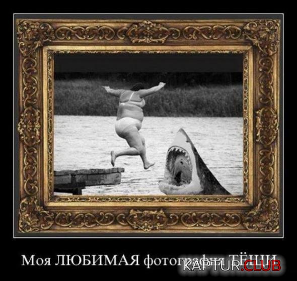 28c600dd9be3cc5cc38244e722c_prev.jpg | Рено Каптур Клуб Россия | Форум KAPTUR.SU