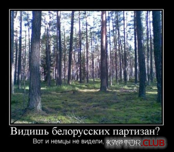 28ea43e1870e0c76e85b775e86e_prev.jpg | Рено Каптур Клуб Россия | Форум KAPTUR.SU