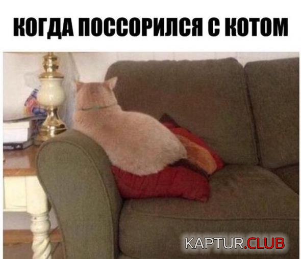 2900effb079d9ae438317ec5b87_prev.jpg | Рено Каптур Клуб Россия | Форум KAPTUR.SU