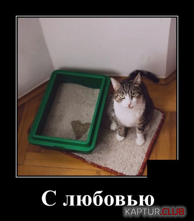 293.jpg | Рено Каптур Клуб Россия | Форум KAPTUR.SU