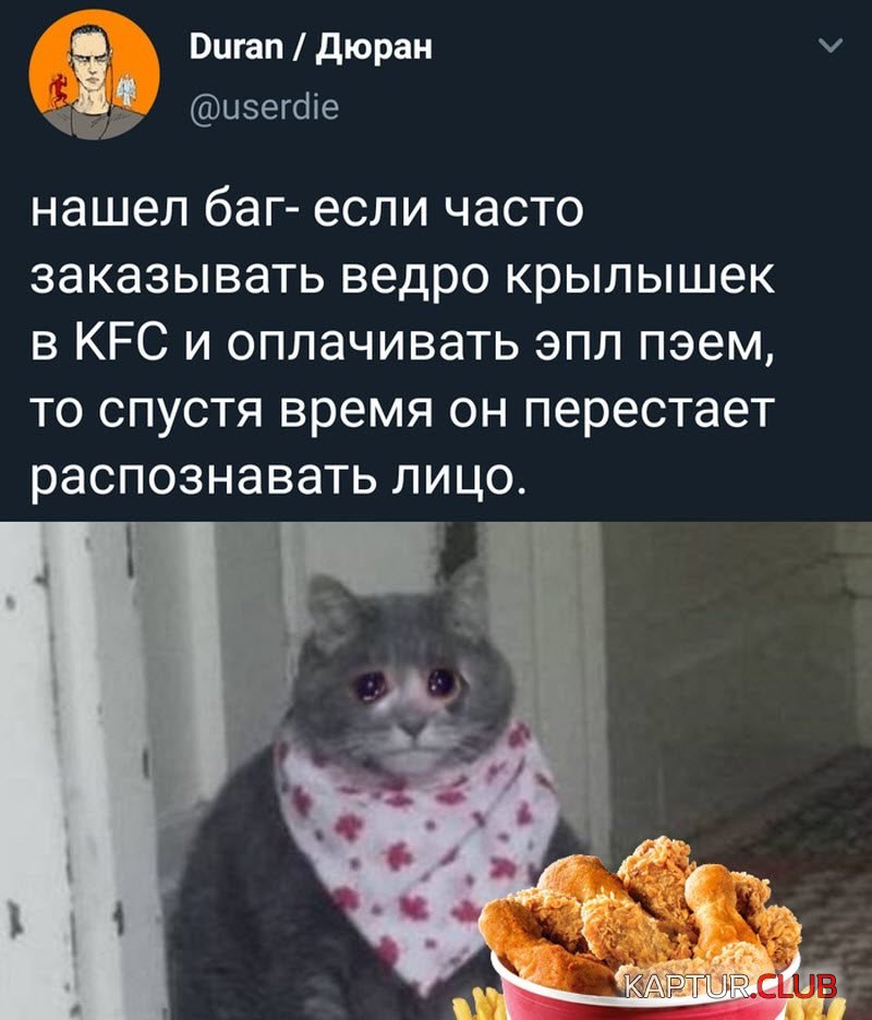 294.jpg | Рено Каптур Клуб Россия | Форум KAPTUR.SU